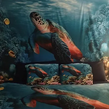 Reef Dreamer Artist'S Retreat Apartment
